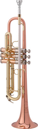 Finition: 900DLX : Verni, Pavillon Cuivre Rose